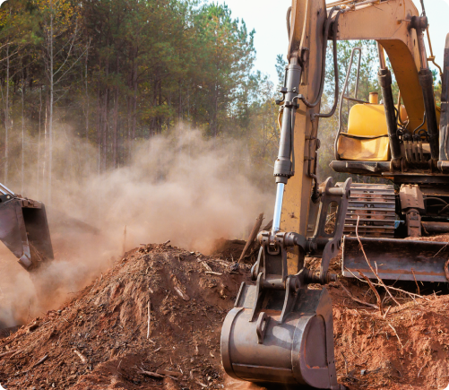 Environmental Impact and Sustainability in Mastication