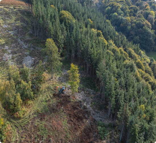 Benefits of Long-Term Land Management with SVE Forestry