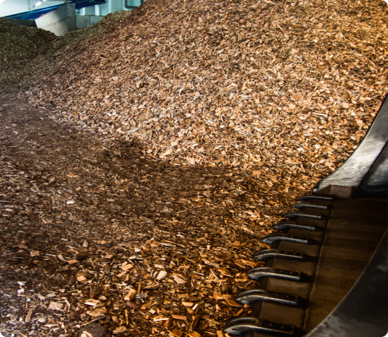 What is Sawtimber and Biomass Processing?