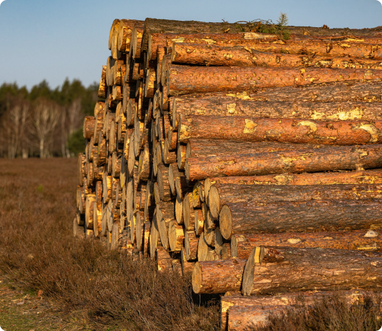 Benefits of Forest Fuels Reduction Planning with SVE Forestry