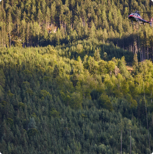 Environmental Impact and Sustainability in Helicopter Logging