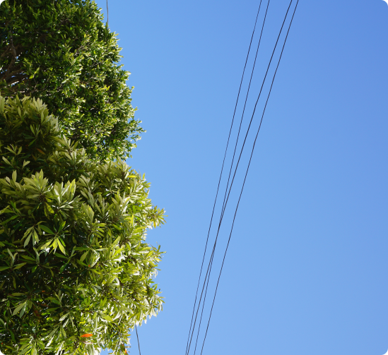 Benefits of Utility Line Clearance with SVE Forestry