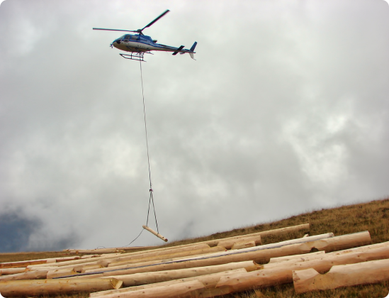What is Helicopter Logging?