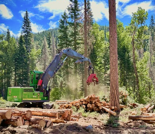 Expert Forestry Solutions Wherever You Need Them